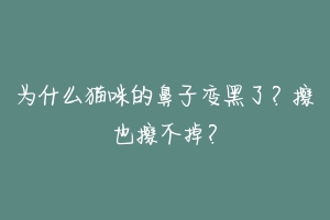 为什么猫咪的鼻子变黑了？擦也擦不掉？