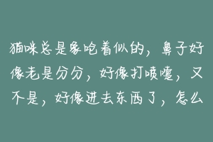 猫咪总是象呛着似的，鼻子好像老是分分，好像打喷嚏，又不是，好像进去东西了，怎么办？