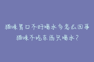 猫咪胃口不好喝水多怎么回事猫咪不吃东西只喝水？