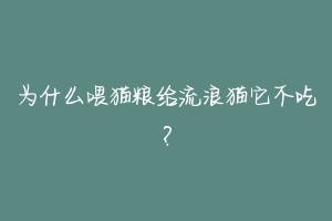 为什么喂猫粮给流浪猫它不吃？