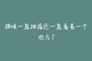 猫咪一直抽搐还一直看着一个地方？