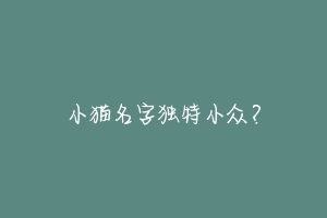 小猫名字独特小众？