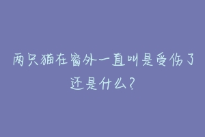 两只猫在窗外一直叫是受伤了还是什么？