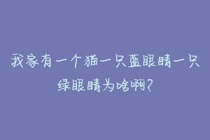 我家有一个猫一只蓝眼睛一只绿眼睛为啥啊？