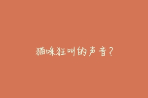 猫咪狂叫的声音？