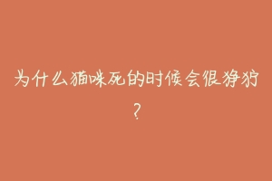 为什么猫咪死的时候会很狰狞？