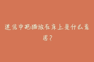 迷信中把猫放在床上是什么意思？