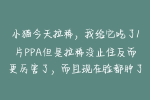 小猫今天拉稀，我给它吃了1片PPA但是拉稀没止住反而更厉害了，而且现在脸都肿了，急死我了，怎么办啊？