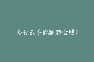 为什么不能跟猫合照？