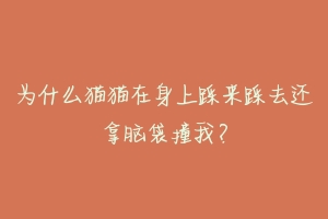 为什么猫猫在身上踩来踩去还拿脑袋撞我？