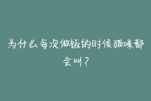 为什么每次做饭的时候猫咪都会叫？