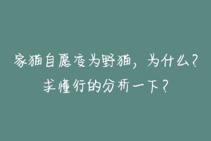 家猫自愿变为野猫，为什么？求懂行的分析一下？