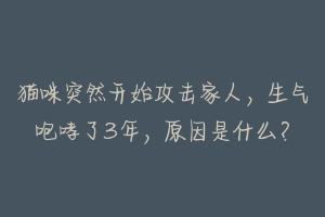 猫咪突然开始攻击家人，生气咆哮了3年，原因是什么？