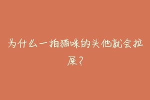 为什么一拍猫咪的头他就会拉屎？