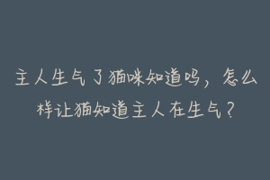 主人生气了猫咪知道吗，怎么样让猫知道主人在生气？