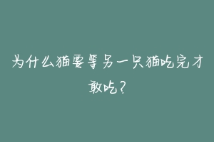 为什么猫要等另一只猫吃完才敢吃？