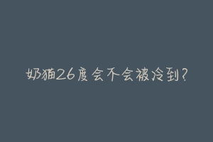 奶猫26度会不会被冷到？