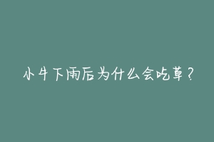 小牛下雨后为什么会吃草？