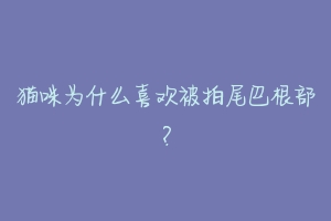 猫咪为什么喜欢被拍尾巴根部？