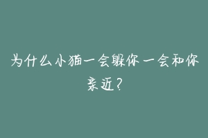 为什么小猫一会躲你一会和你亲近？