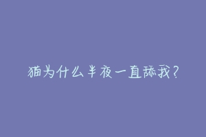 猫为什么半夜一直舔我？