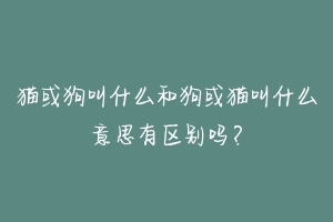 猫或狗叫什么和狗或猫叫什么意思有区别吗？