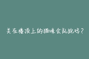 关在楼顶上的猫咪会乱跑吗？