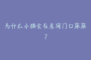 为什么小猫会在房间门口尿尿？