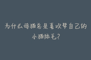 为什么母猫总是喜欢帮自己的小猫舔毛？