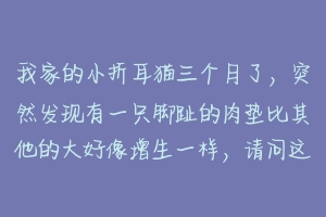 我家的小折耳猫三个月了，突然发现有一只脚趾的肉垫比其他的大好像增生一样，请问这是怎么了？