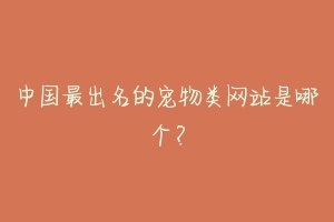 中国最出名的宠物类网站是哪个？