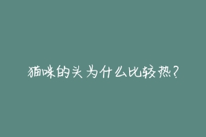 猫咪的头为什么比较热？