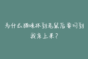 为什么猫咪抓到老鼠后要叼到我床上来？