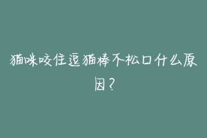 猫咪咬住逗猫棒不松口什么原因？