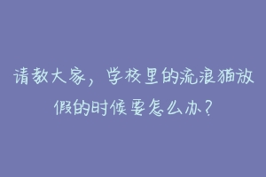 请教大家，学校里的流浪猫放假的时候要怎么办？