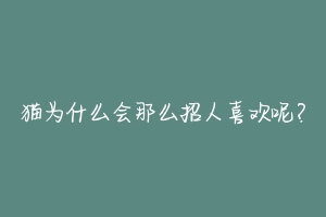 猫为什么会那么招人喜欢呢？