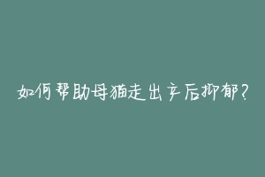 如何帮助母猫走出产后抑郁？