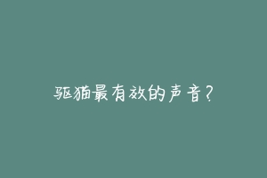 驱猫最有效的声音？