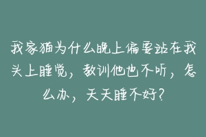 我家猫为什么晚上偏要站在我头上睡觉，教训他也不听，怎么办，天天睡不好？