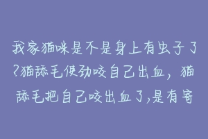 我家猫咪是不是身上有虫子了?猫舔毛使劲咬自己出血，猫舔毛把自己咬出血了,是有寄生虫吗？