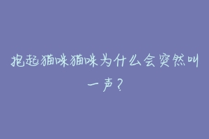 抱起猫咪猫咪为什么会突然叫一声？