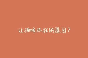 让猫咪抓狂的原因？