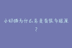 小奶猫为什么总是有很多眼屎？