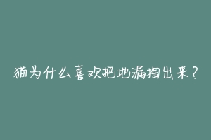 猫为什么喜欢把地漏掏出来？