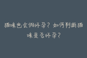 猫咪也会假怀孕？如何判断猫咪是否怀孕？