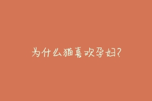 为什么猫喜欢孕妇？