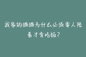 我家的猫猫为什么必须要人陪着才肯吃饭？