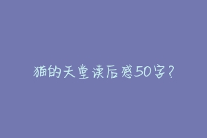 猫的天堂读后感50字？