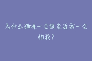 为什么猫咪一会很亲近我一会怕我？