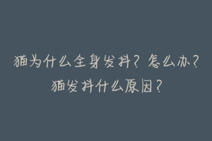 猫为什么全身发抖？怎么办？猫发抖什么原因？